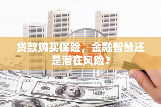 夏县贷款购买保险，金融智慧还是潜在风险？