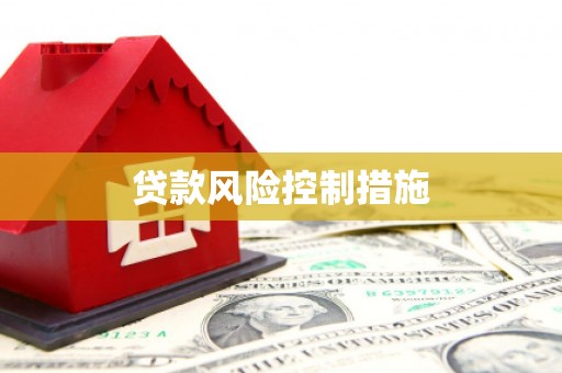 夏县贷款风险控制措施