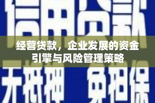 夏县经营贷款，企业发展的资金引擎与风险管理策略