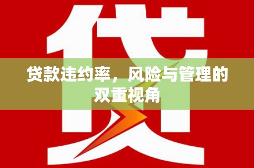 夏县贷款违约率，风险与管理的双重视角