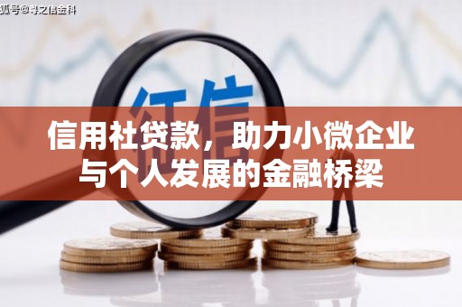 夏县信用社贷款，助力小微企业与个人发展的金融桥梁