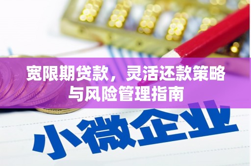 夏县宽限期贷款，灵活还款策略与风险管理指南