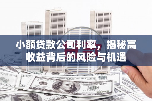 夏县小额贷款公司利率，揭秘高收益背后的风险与机遇