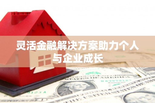 夏县灵活金融解决方案助力个人与企业成长
