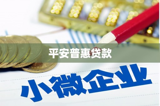 夏县平安普惠贷款