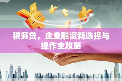 夏县税务贷，企业融资新选择与操作全攻略