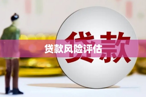 夏县贷款风险评估
