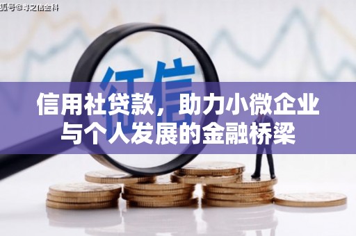夏县信用社贷款，助力小微企业与个人发展的金融桥梁