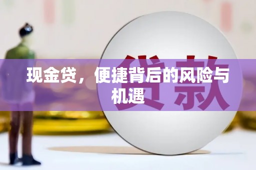 夏县现金贷，便捷背后的风险与机遇