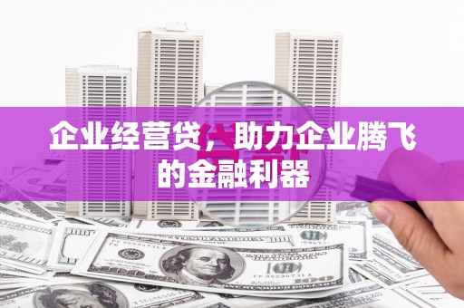 夏县企业经营贷，助力企业腾飞的金融利器
