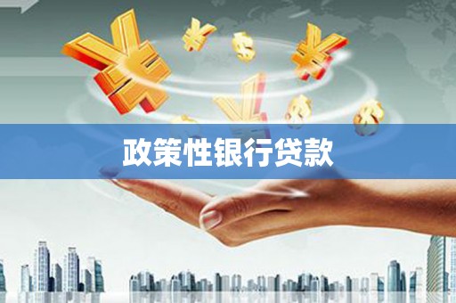夏县政策性银行贷款