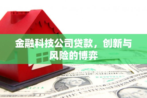 夏县金融科技公司贷款，创新与风险的博弈