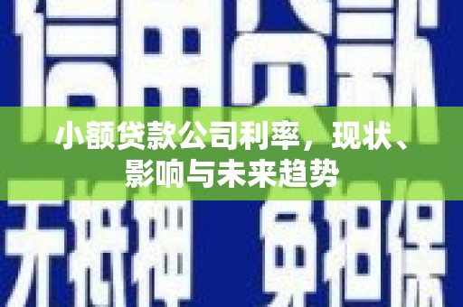 夏县小额贷款公司利率，现状、影响与未来趋势