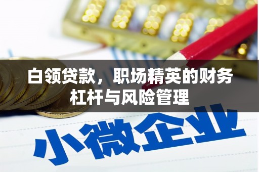 夏县白领贷款，职场精英的财务杠杆与风险管理