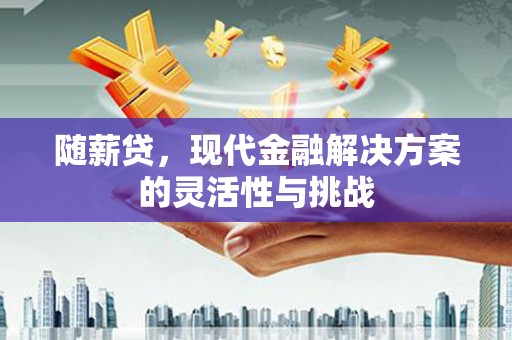 夏县随薪贷，现代金融解决方案的灵活性与挑战