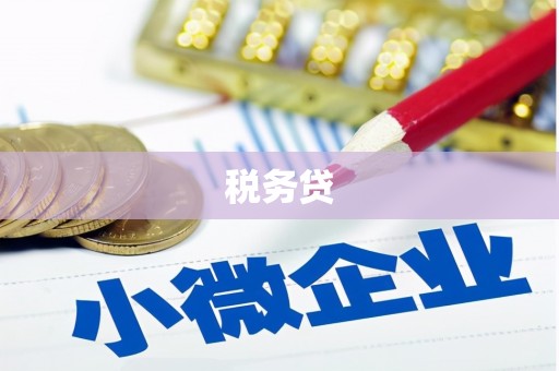 夏县税务贷