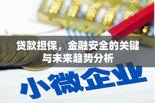 夏县贷款担保，金融安全的关键与未来趋势分析