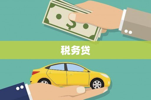 夏县税务贷