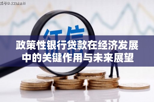 夏县政策性银行贷款在经济发展中的关键作用与未来展望