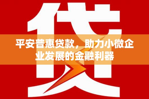 夏县平安普惠贷款，助力小微企业发展的金融利器