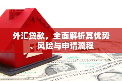 夏县外汇贷款，全面解析其优势、风险与申请流程