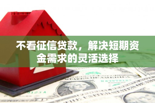 夏县不看征信贷款，解决短期资金需求的灵活选择