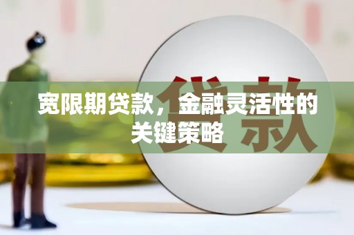 夏县宽限期贷款，金融灵活性的关键策略