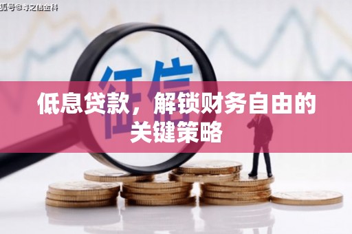夏县低息贷款，解锁财务自由的关键策略