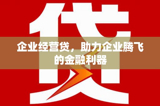 夏县企业经营贷，助力企业腾飞的金融利器