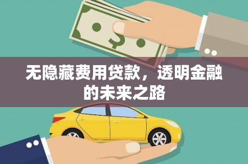 夏县无隐藏费用贷款，透明金融的未来之路