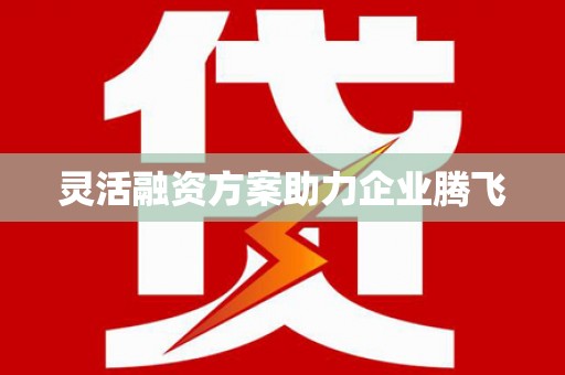 夏县灵活融资方案助力企业腾飞