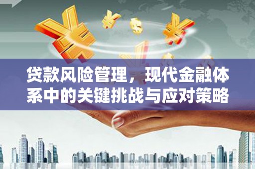 夏县贷款风险管理，现代金融体系中的关键挑战与应对策略