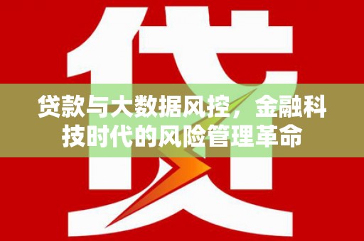 夏县贷款与大数据风控，金融科技时代的风险管理革命