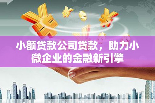 夏县小额贷款公司贷款，助力小微企业的金融新引擎