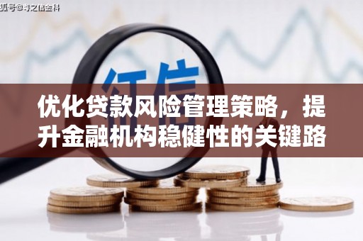 夏县优化贷款风险管理策略，提升金融机构稳健性的关键路径