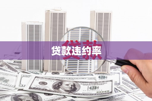 夏县贷款违约率