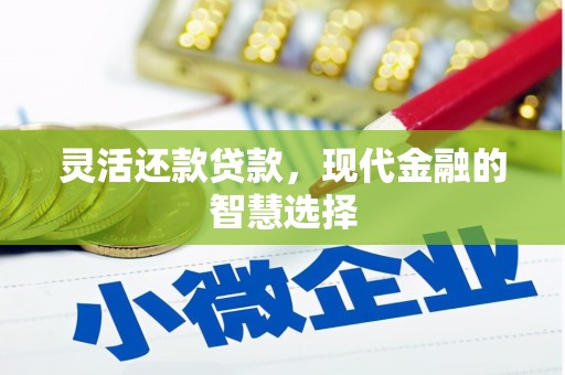 夏县灵活还款贷款，现代金融的智慧选择