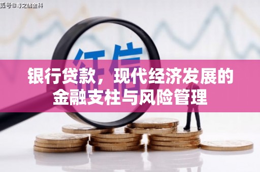 夏县银行贷款，现代经济发展的金融支柱与风险管理