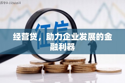 夏县经营贷，助力企业发展的金融利器