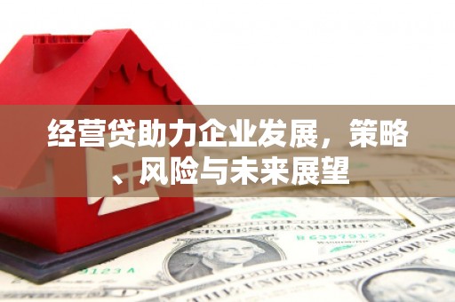 夏县经营贷助力企业发展，策略、风险与未来展望