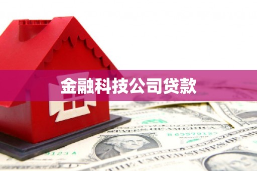 夏县金融科技公司贷款
