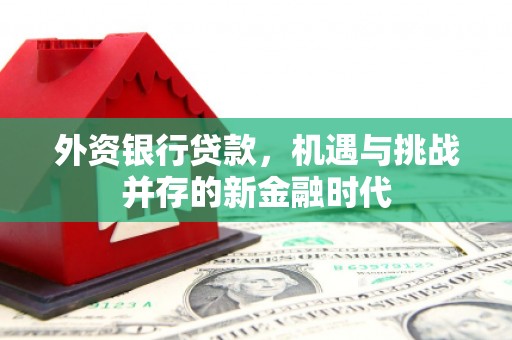 夏县外资银行贷款，机遇与挑战并存的新金融时代