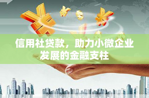 夏县信用社贷款，助力小微企业发展的金融支柱