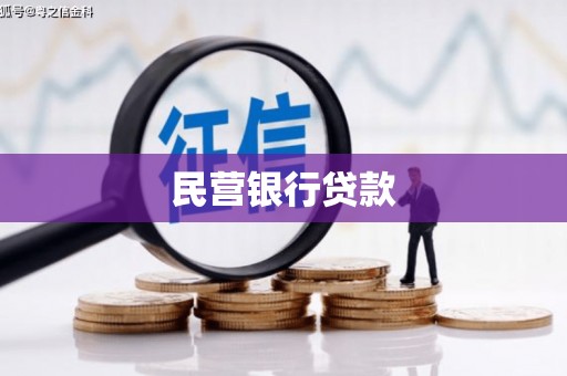 夏县民营银行贷款