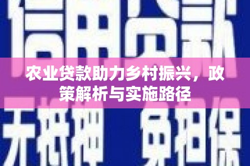 夏县农业贷款助力乡村振兴，政策解析与实施路径