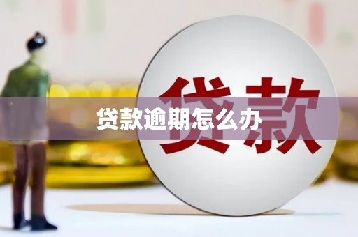 夏县贷款逾期怎么办