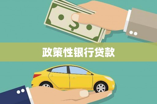 夏县政策性银行贷款