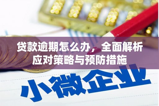 夏县贷款逾期怎么办，全面解析应对策略与预防措施