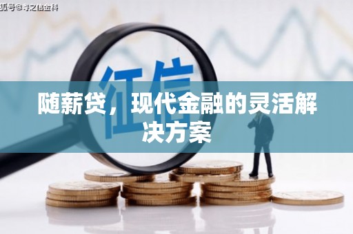 夏县随薪贷，现代金融的灵活解决方案