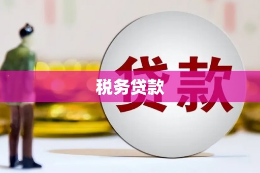 夏县税务贷款